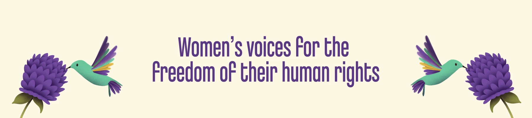 Animación-Colibrí_1